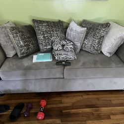 Couch and Loveseat Combo 