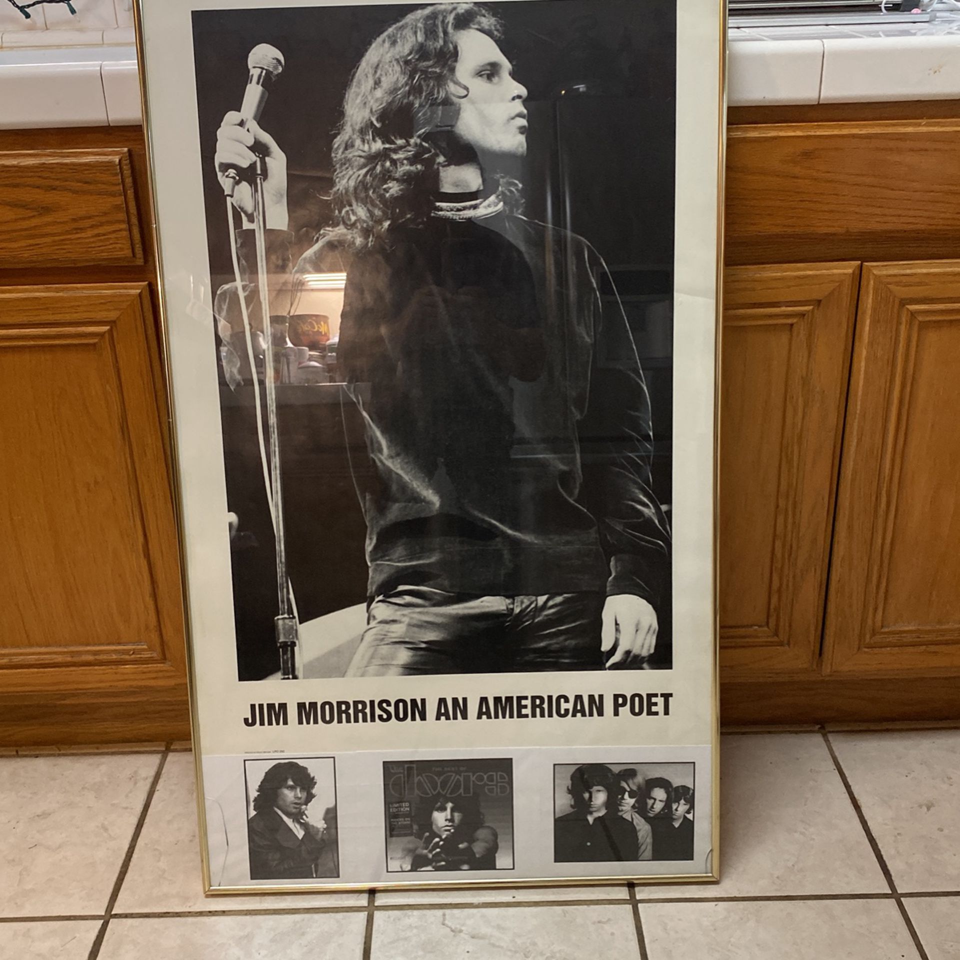 Jim Morrison An American Poet