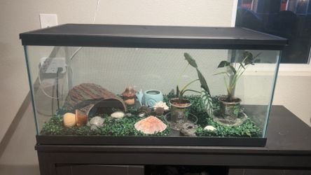Fish Tank / Turtle Tank For Sale 