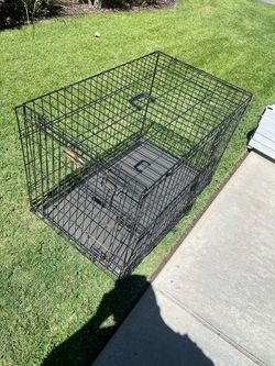 Dog kennel.