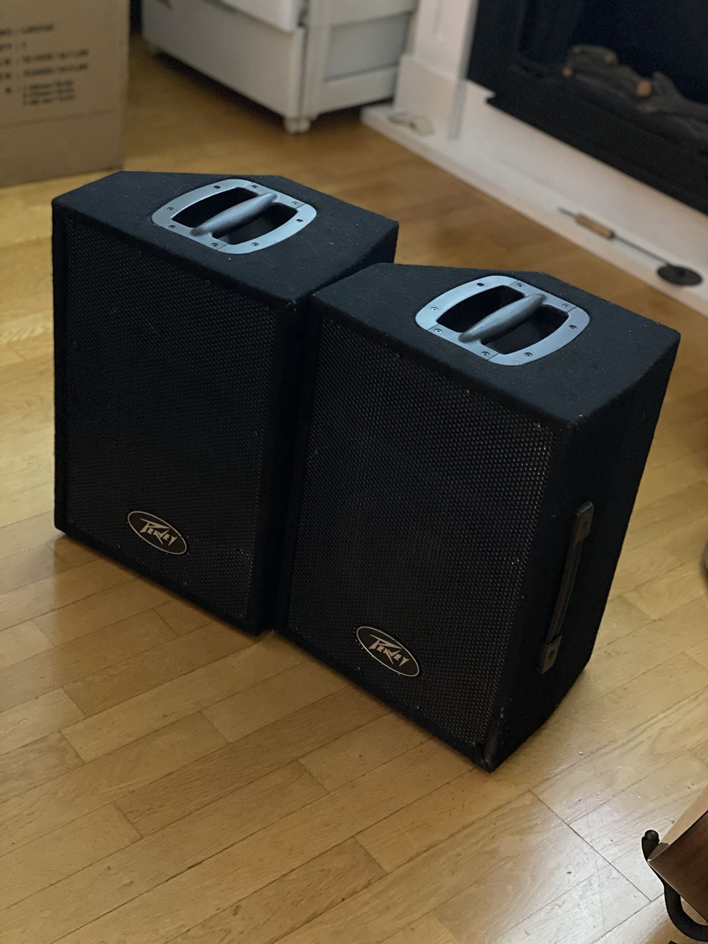 Peavey PVi10 2 way speaker system