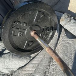 Weights With Curl Bar