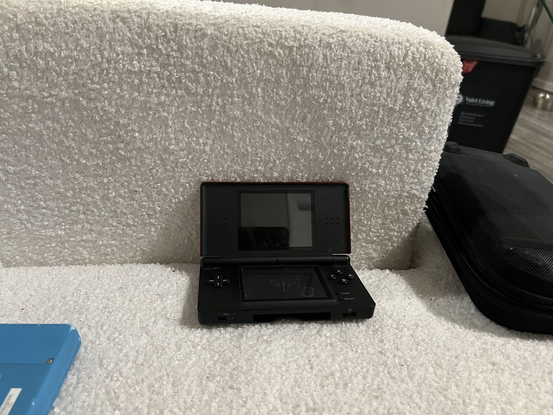 Ds Lite