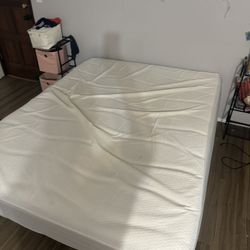 Queen Bed 