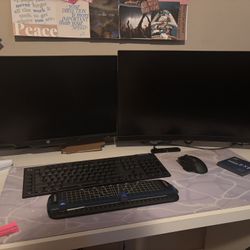 2 Gaming Monitors