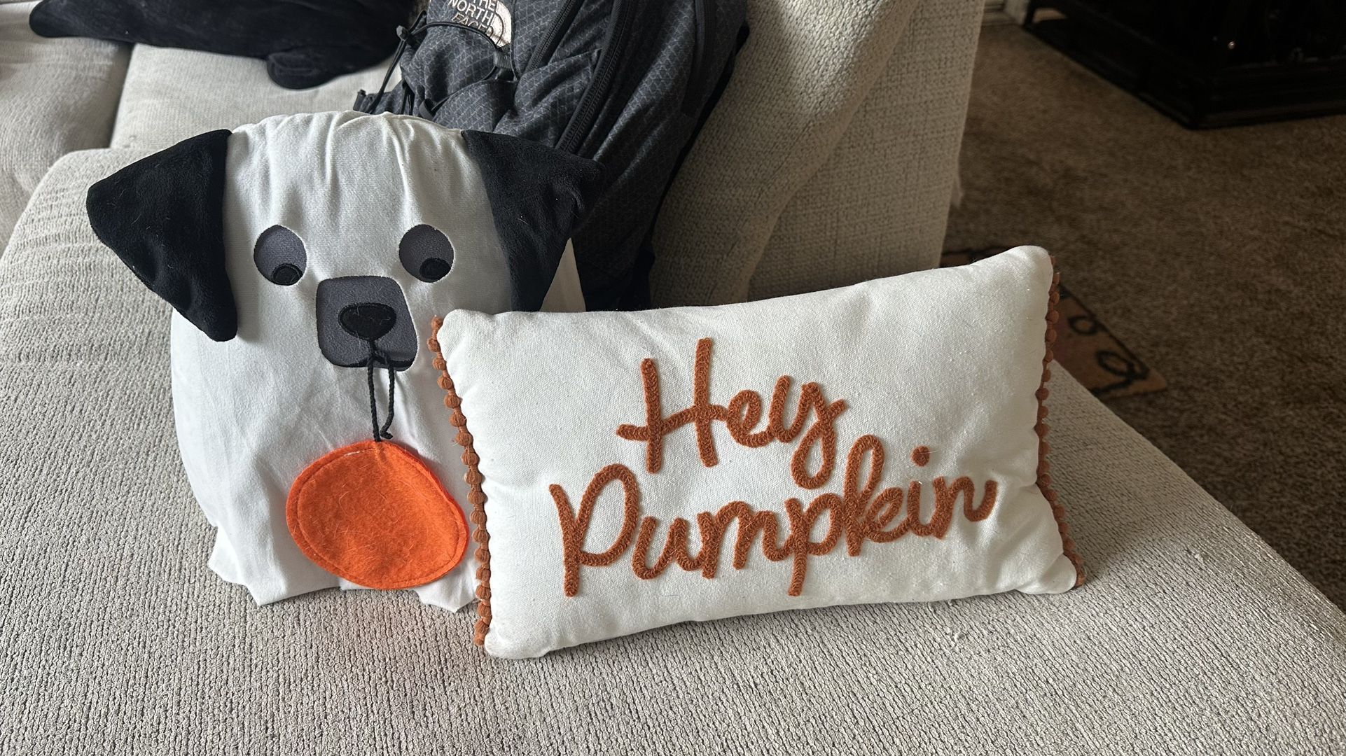 Halloween Pillows