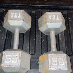 50lb Dumbbells 