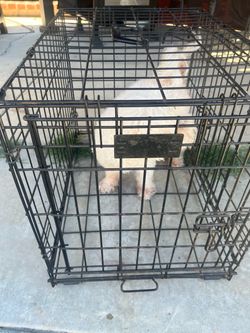 Metal dog crate