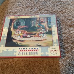 Tiny Toon Puzzle