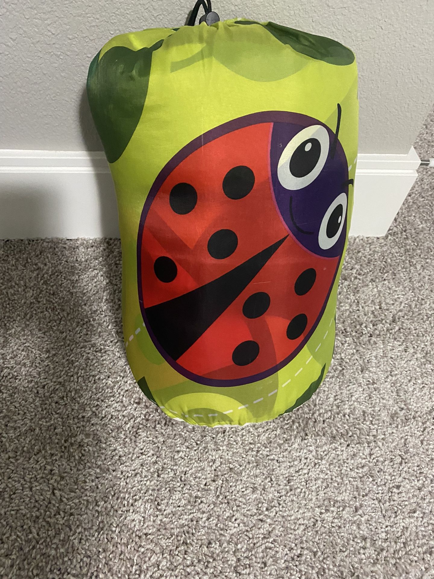 Ladybug Kids Sleeping Bag