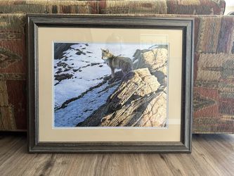 Framed Wolf Print “Late Afternoon Hunt” Lee Cable