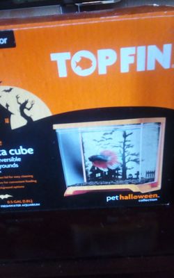 Halloween batta fish tank