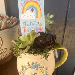 Teachers Day Succulent Gifts 
