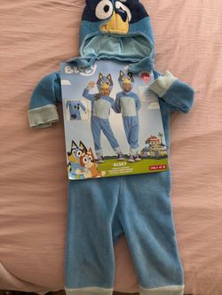 Bluey costume
