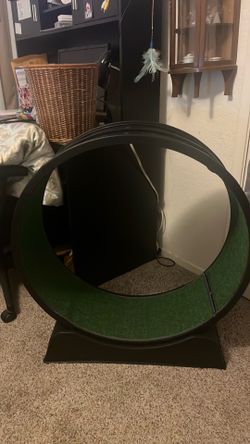 Cat exercise wheel
