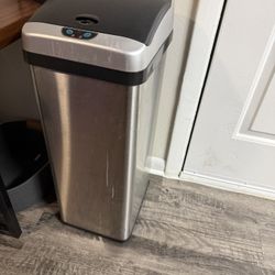Stainless Steel trash can