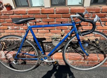 Schwinn Bike