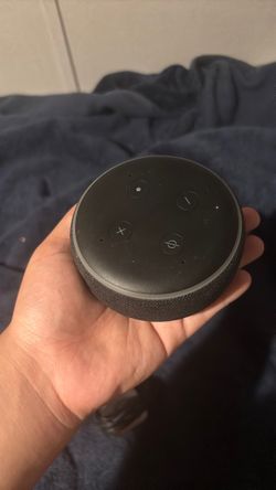 Amazon wired alexxa