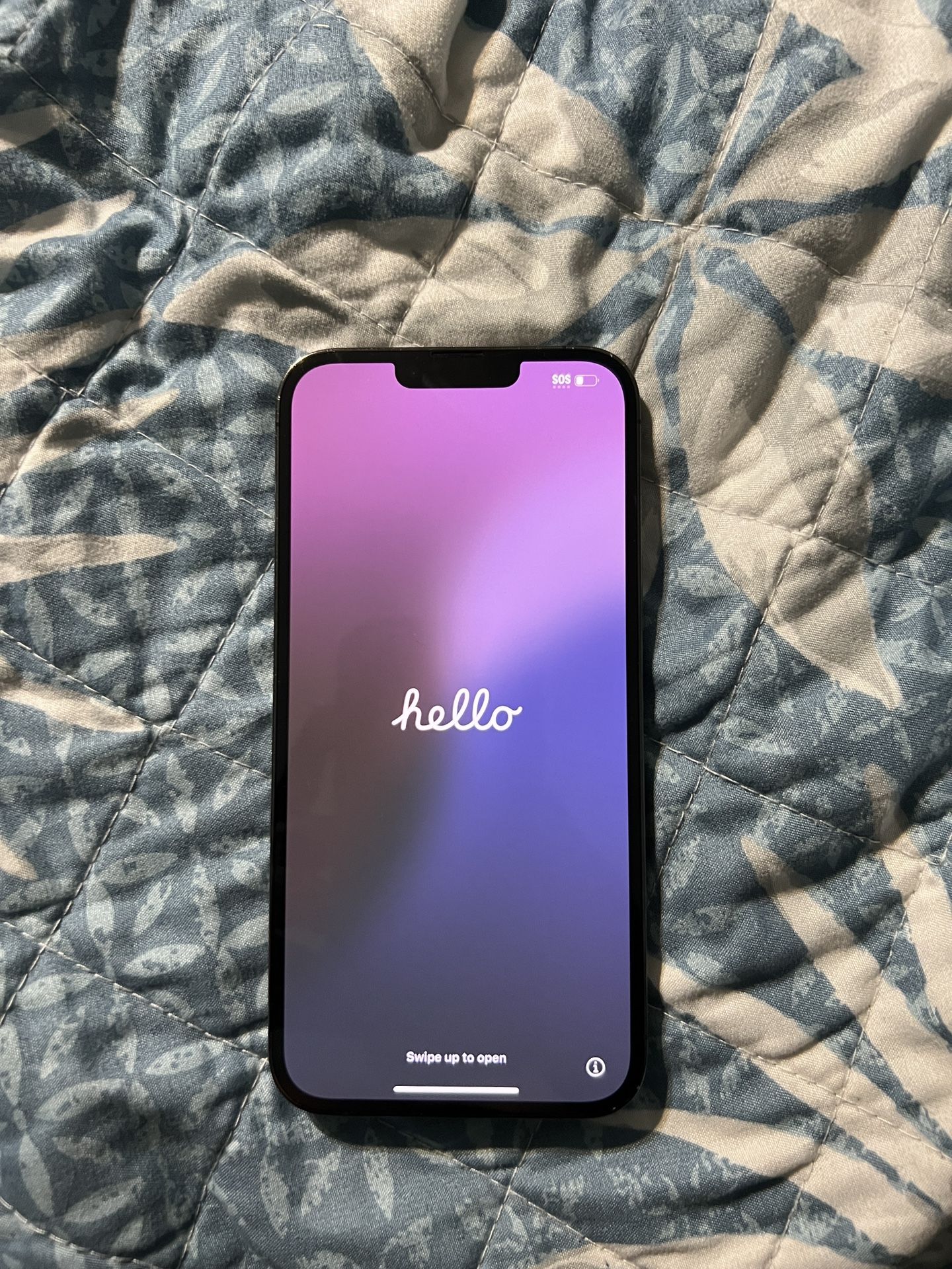 iPhone 13 Pro Max (Graphite)