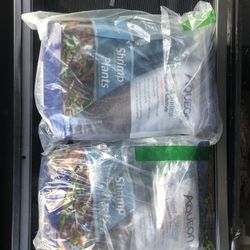 10 Pounds Shrimp Plant Substrate