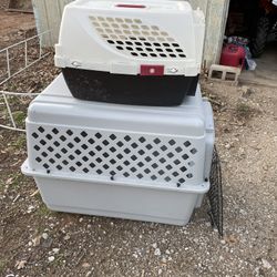 Dog Houses 