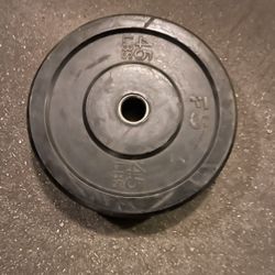 45 Lb Bumper Plate
