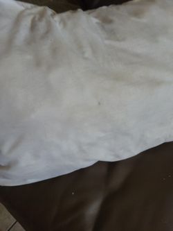 Charlie's pillow