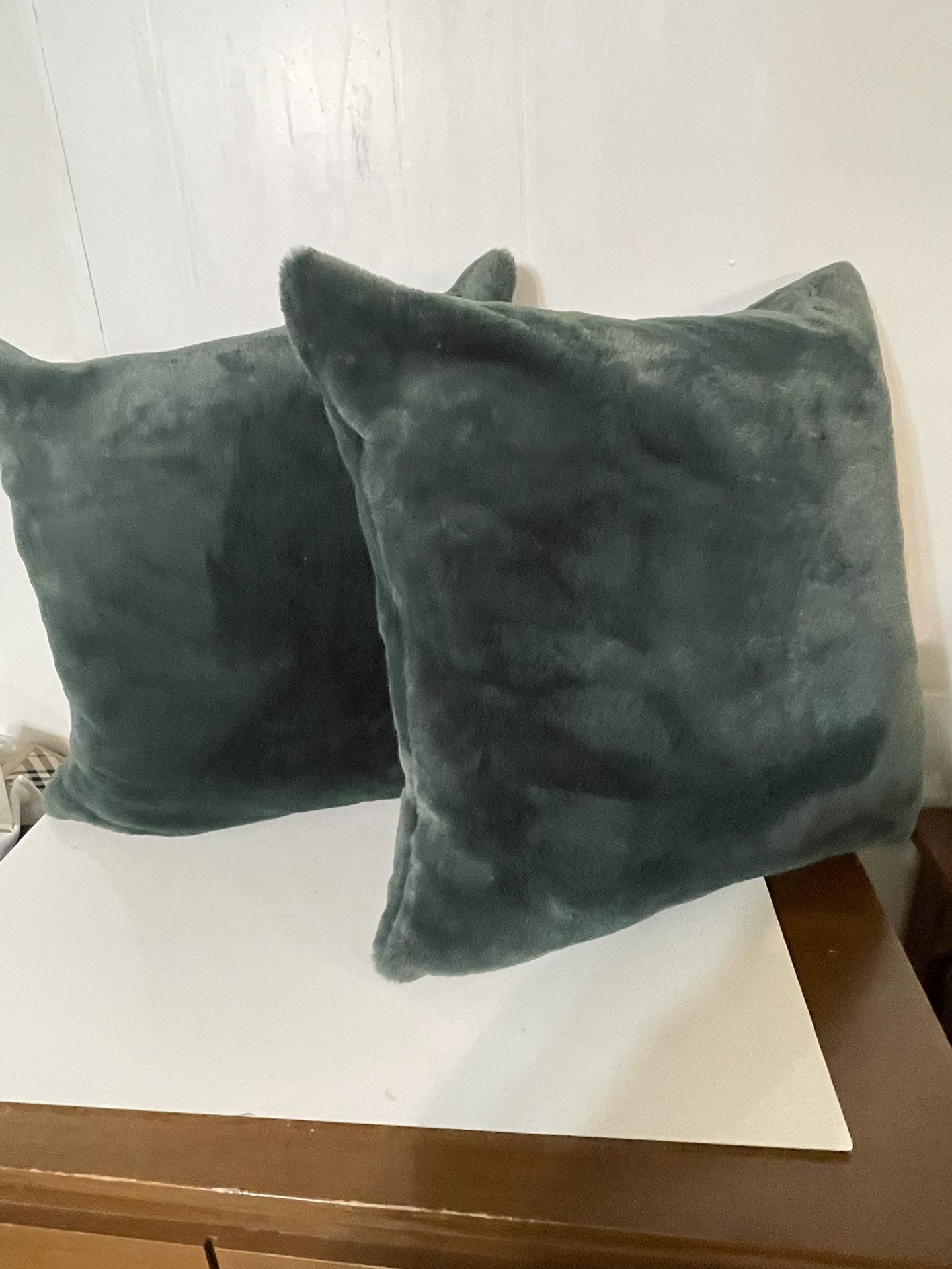 Two Beautiful Green Soft Pillows