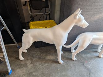 Doberman, life sized mannequin