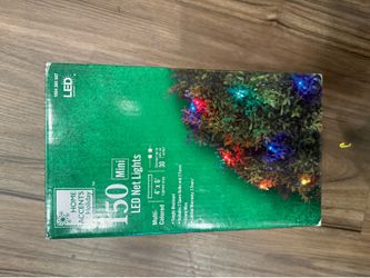 Home Accents Holiday 150 Mini LED Net Lights