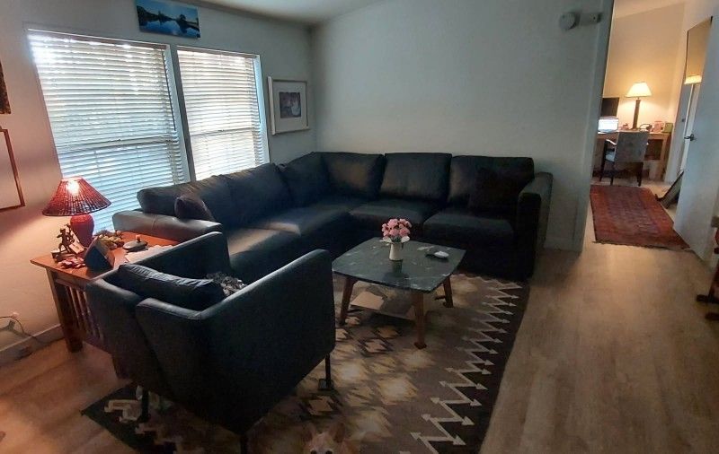 IKEA Leather Couch and IKEA Chair