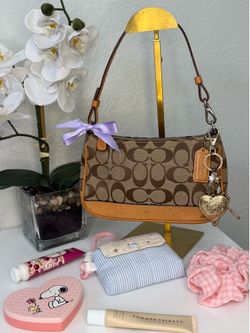 Coach Signature Canvas Demi Baguette Pouch Bag