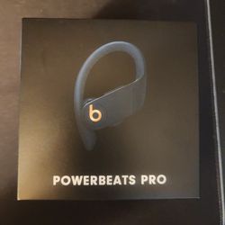 Beats by Dr. Dre - Power beats Pro Totally Wireless Earbuds - Blue