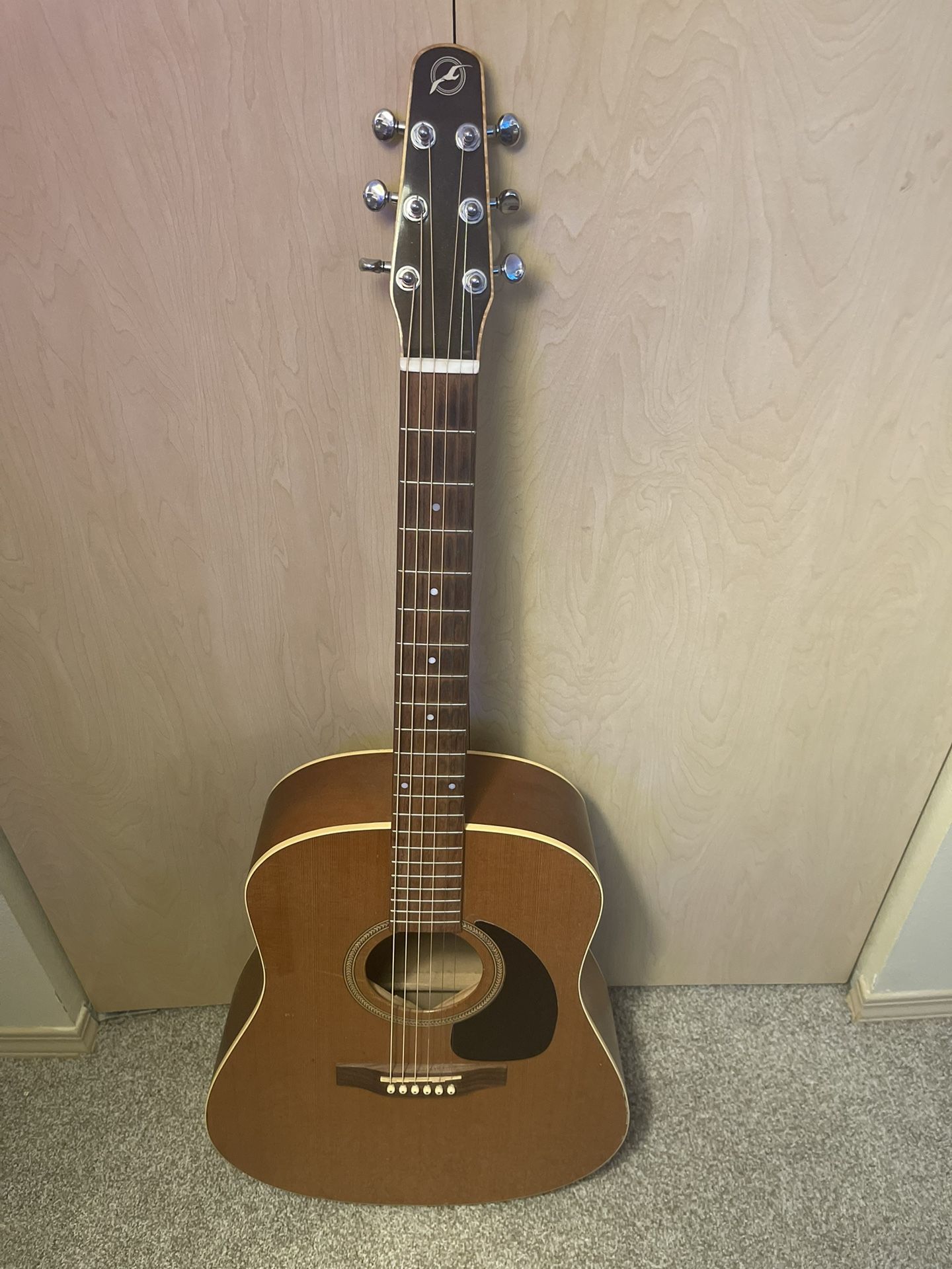 Seagull acoustic
