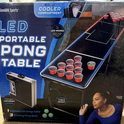 Ping Pong Table