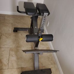 Roman Chair/hyper Extenton 