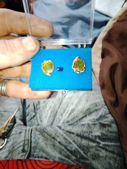 24 K Gold Ammolite Ear Rings 