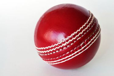 Cricket leather Ball