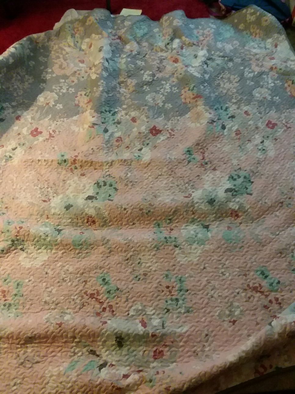 Brand New Queen Bedspread/Shams