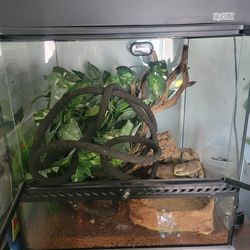 Reptile terrarium