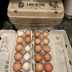 Chicken Eggs For Sale -our coop to your kitchen…