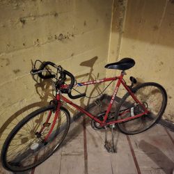 free spirit vintage bike bicycle 10 Speed Red