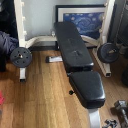 Adjustable Gym Bench Parabody