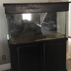 75 gallon Tank .