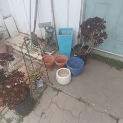 Pots And Plants 