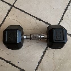 20 lb Dumbbell
