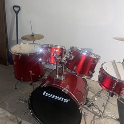Ludwig - New 