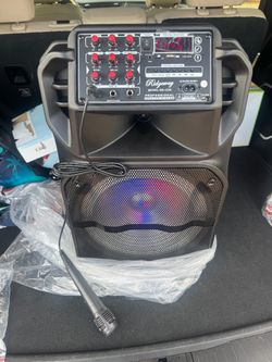Party speaker