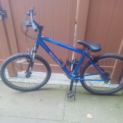 Iron Horse Mountain Bike 