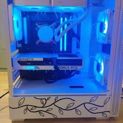 Full Set Up With Custom Built PC